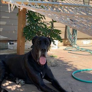 Meet your Posher, Cella